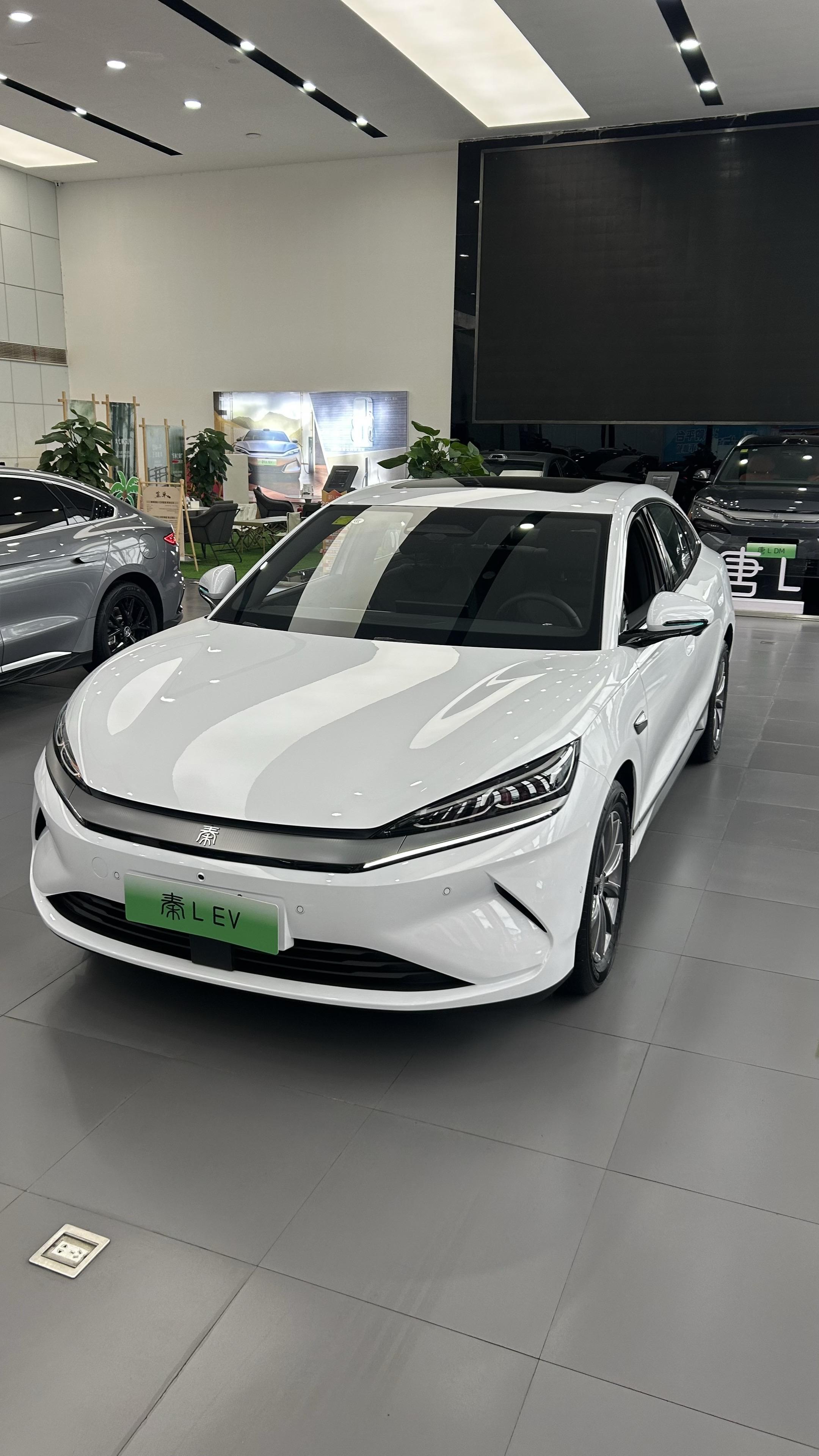 秦EV标准版450展示图3
