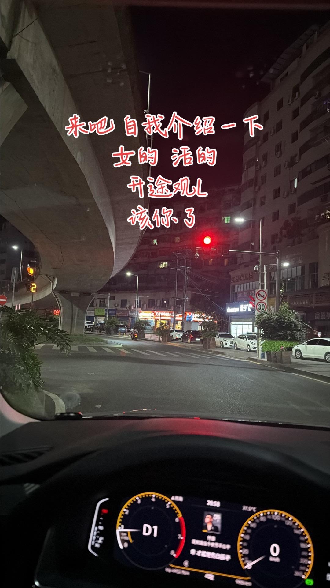 途观LPro 380TSI 四驱R-Line智尊版展示图1