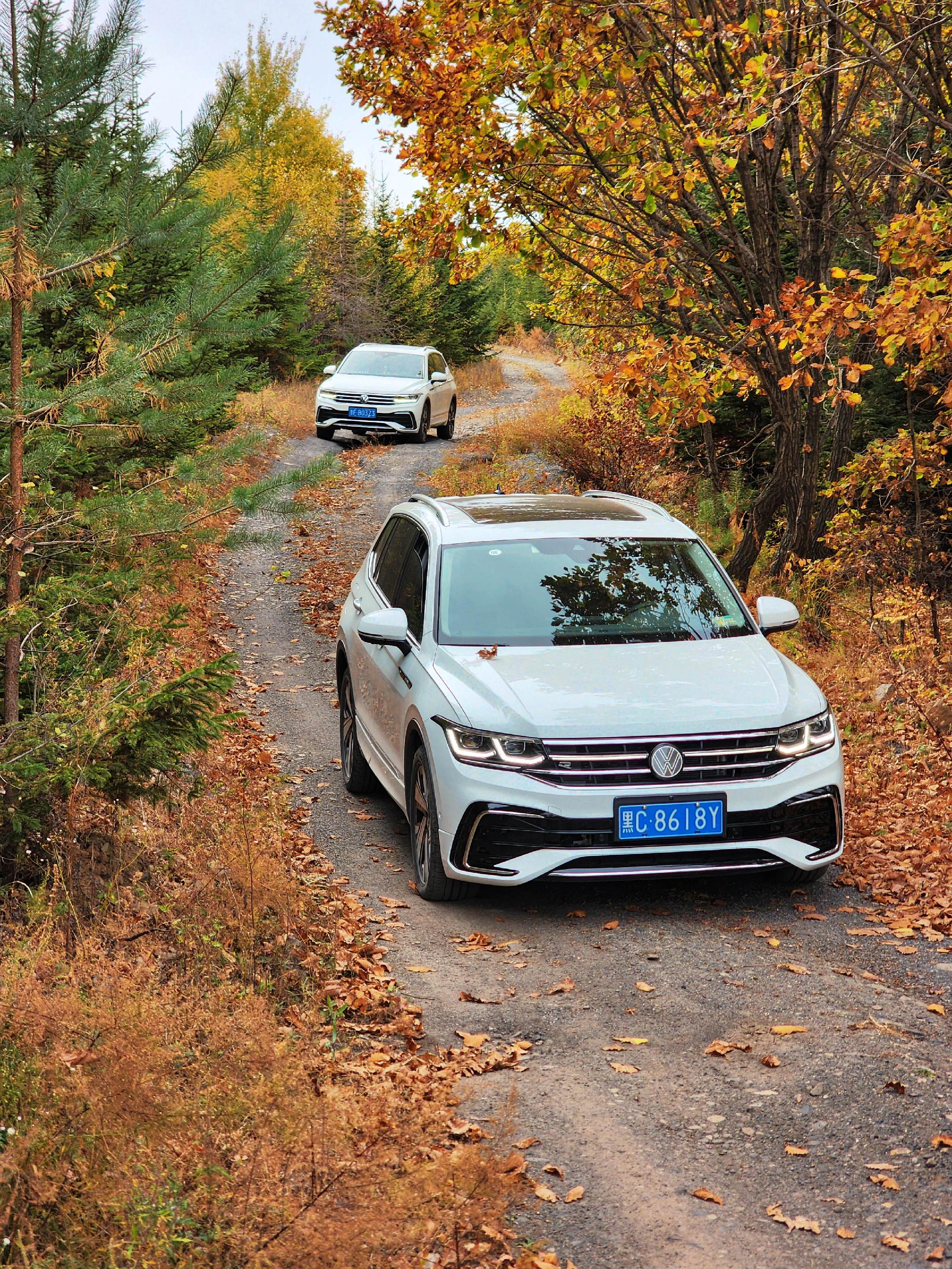 途观LPro 380TSI 四驱R-Line智尊版展示图3