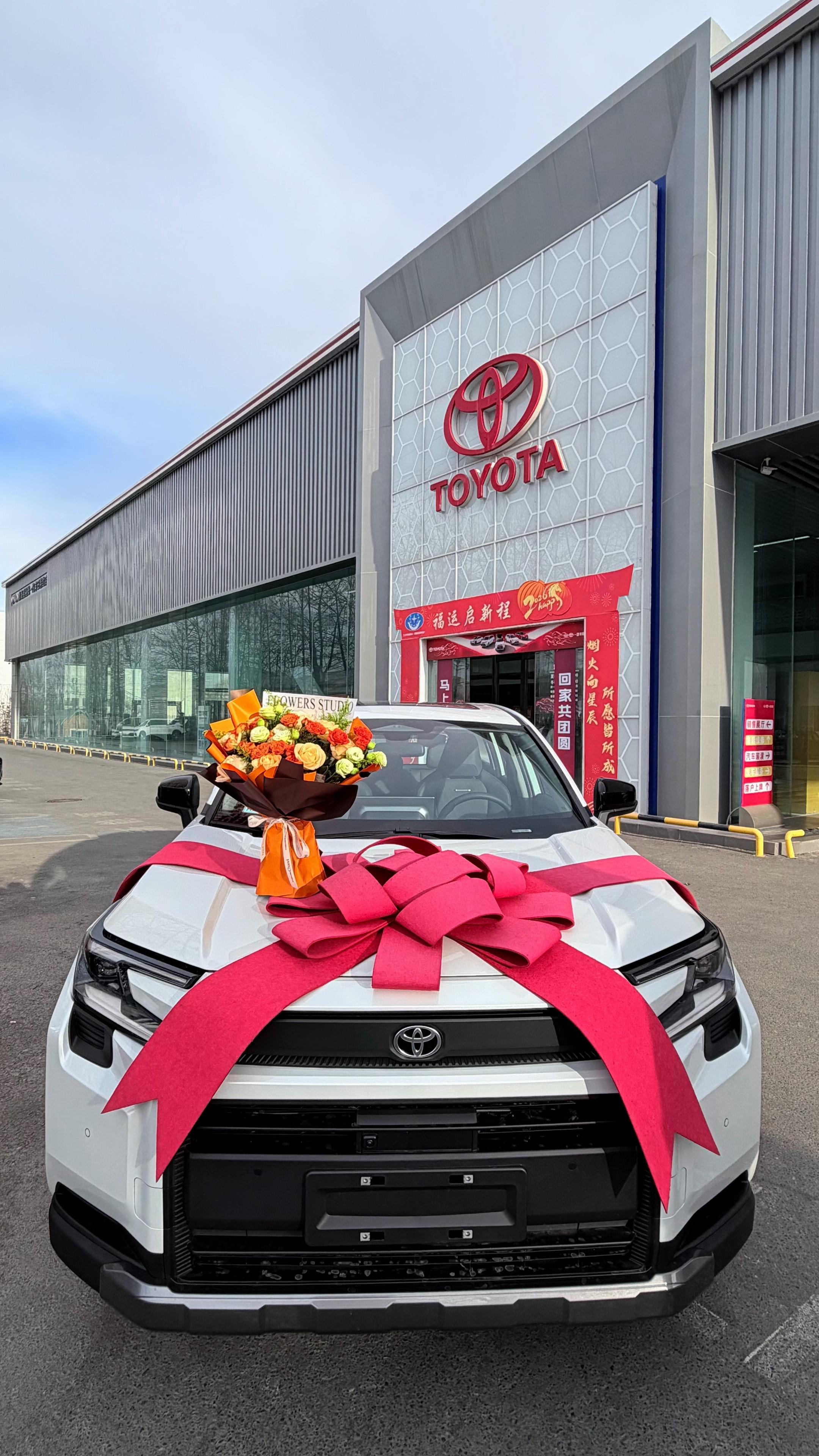 RAV4荣放双擎 2.0L 两驱豪华版展示图2